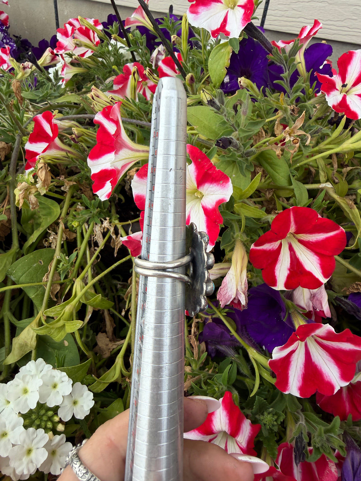“Honey Mae” on adjustable band